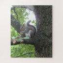 Search for squirrel puzzles Eating