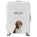 Search for dog luggage Hound