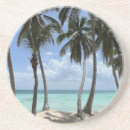 Search for tropical gifts Blue sky