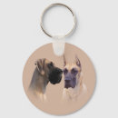 Search for great dane keychains Dogs
