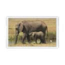Search for elephant serving trays Calf
