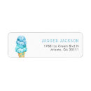 Search for mint return address labels Ice cream
