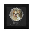 Search for pet urn In loving memory