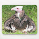 Search for bird mousepads Animals
