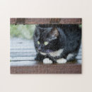 Search for tuxedo cat puzzles Cute
