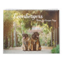 Search for leonberger Dog