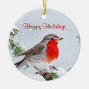 Search for robin ornaments Elegant
