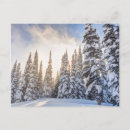 Search for ski resort postcards Usa