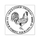 Search for rooster plates Chicken