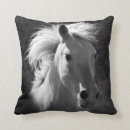 Search for western pillows White