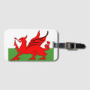 Search for dragon luggage tags Symbol