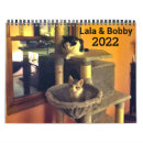 Search for bengal cat calendars Pets