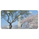 Search for cherry blossom license plates Floral