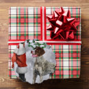 Search for german christmas cards German shorthaired pointer