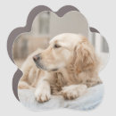 Search for golden retriever bumper stickers dog