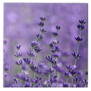 Search for lavender tiles Floral