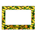 Search for fruit picture frames Citrus