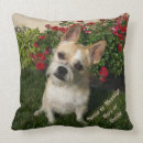 Search for dog grandparents Pet