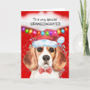 Search for beagle cards Animal