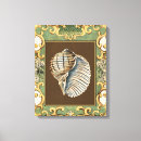 Search for seashells sea shells canvas prints Conch
