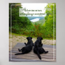 Search for encouragement quotes for students Motivational quote