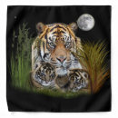Search for cat clothes Wildlife
