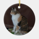 Search for feline ornaments kitten