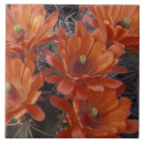 Search for cactus tiles Environment