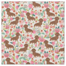 Search for cream dachshund Pet