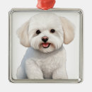 Search for bichon frise ornaments Puppy