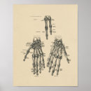 Search for vintage medical skeleton posters Bones