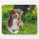 Search for dog mousepads Modern