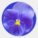 Search for pansy flower stickers Nature