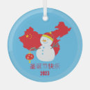 Search for chinese ornaments Flag