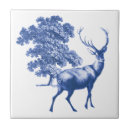 Search for dutch tiles Nature