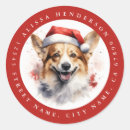 Search for corgi stickers Puppy