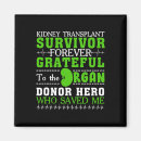 Search for kidney transplant gifts Survivor