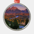 Search for snake ornaments Landscape