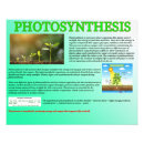Search for photosynthesis posters Biology