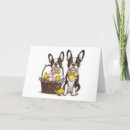 Search for boston terrier cards Pet lover