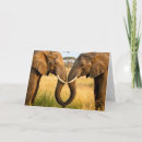 Search for elephant anniversary cards African