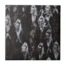 Search for fossil tiles Pattern