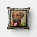 Search for rhodesian ridgeback gifts africa