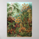 Search for mushroom art Floral