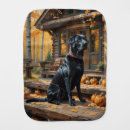 Search for black lab baby kids Animals