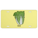 Search for cabbage plates Vegetable