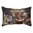 Search for cat beds Cats