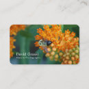 Search for bee weed Bumblebee