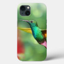 Search for hummingbird iphone cases Beautiful