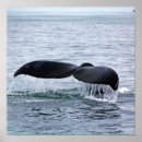 Search for monterey posters California